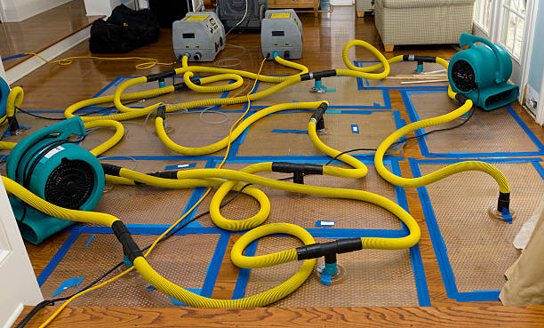 Professional Water Extraction technician working in Greenville, MI